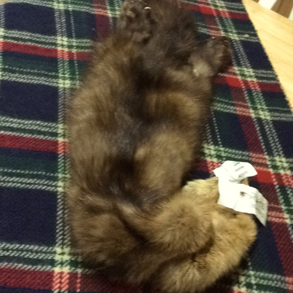 Full Skin Fur(mink)